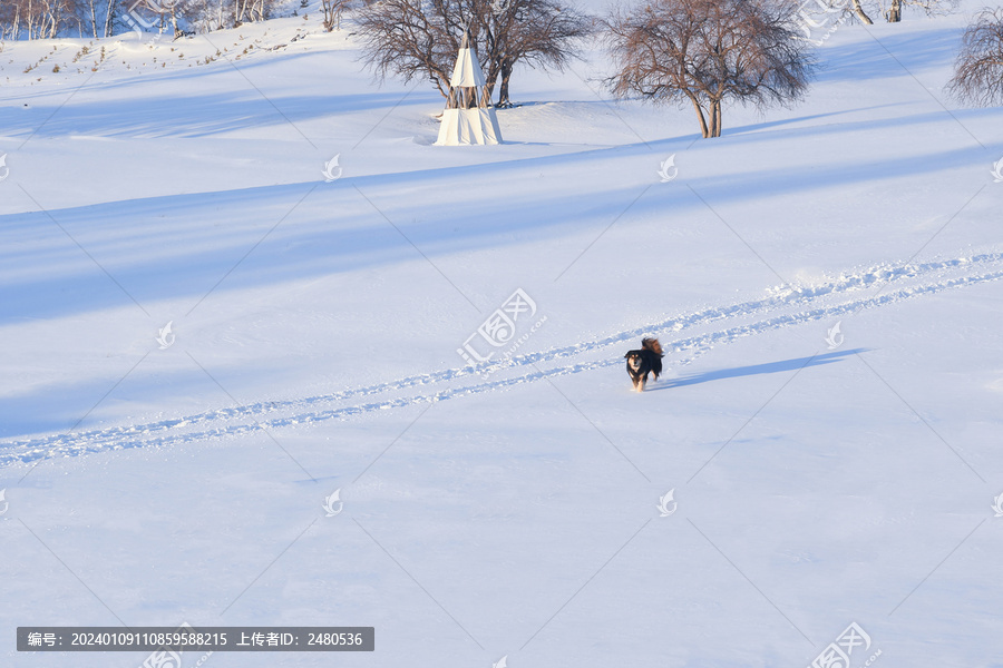 北方冬季雪景