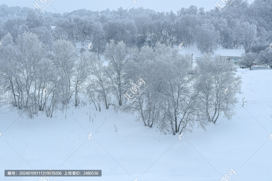 北方冬季雪景雾凇