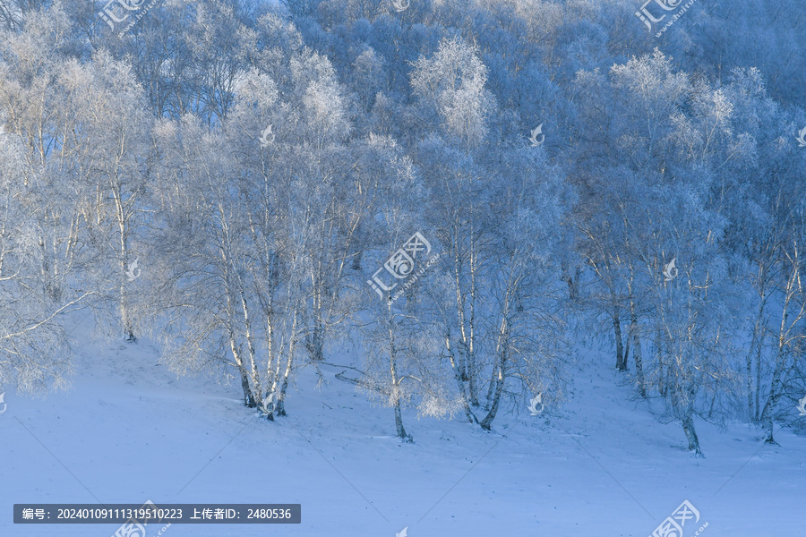 北方冬季雪景雾凇