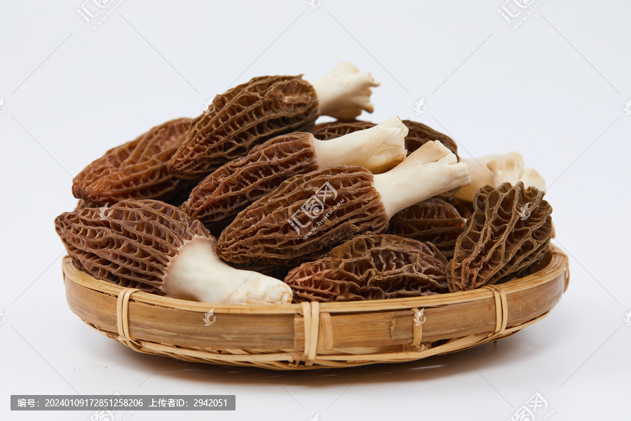 羊肚菌