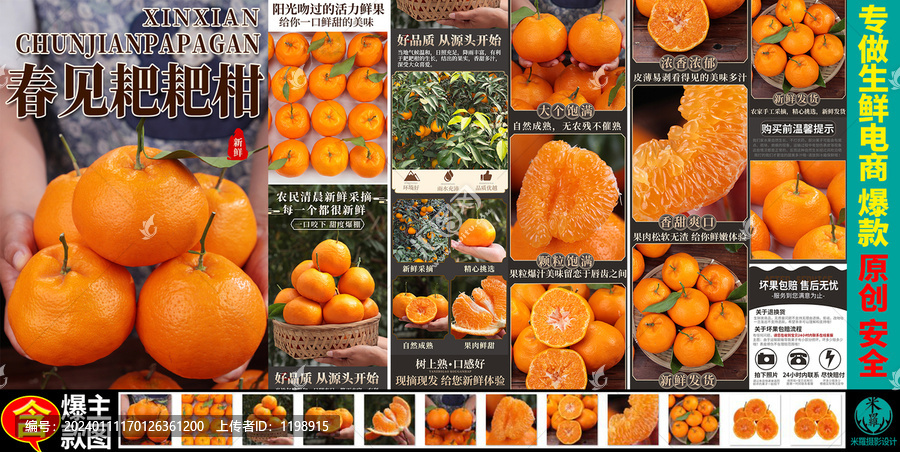 春見耙耙柑詳情頁主圖