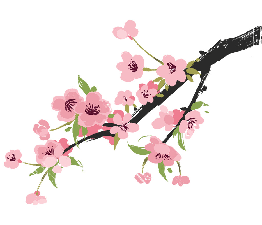 盛開的桃花