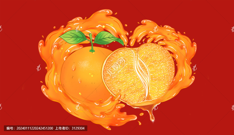 橙子插畫