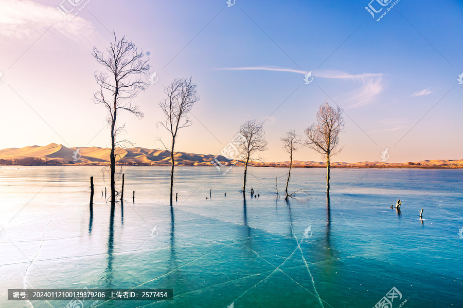 新疆罗布湖冬日风光