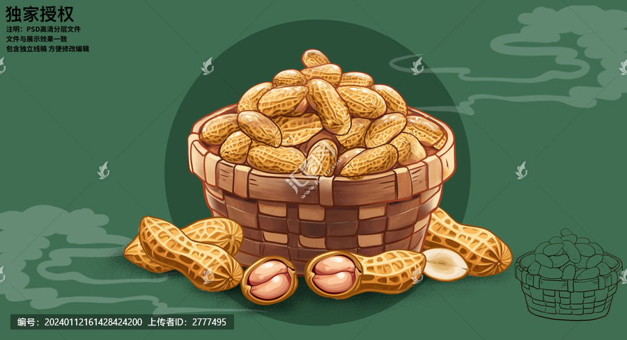 手繪花生插畫(huà)