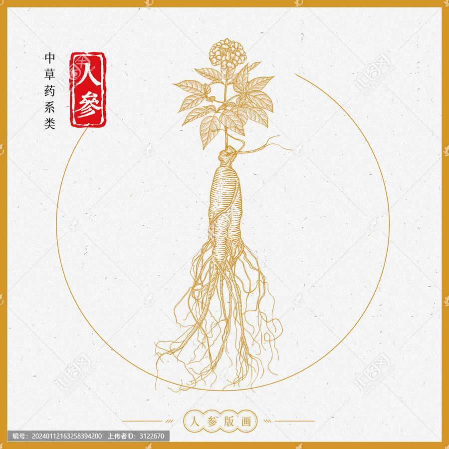 人參