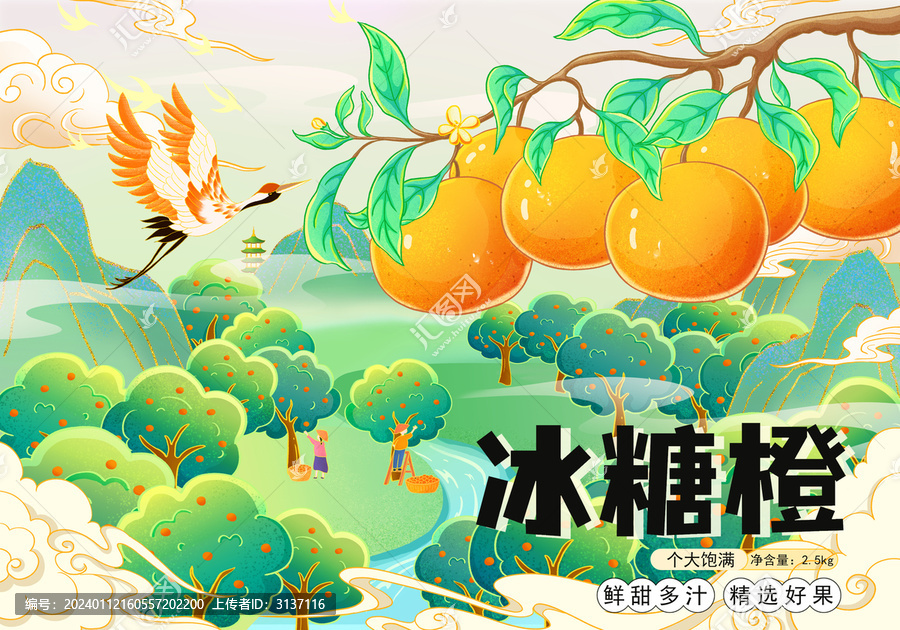 橙子手繪包裝設(shè)計(jì)