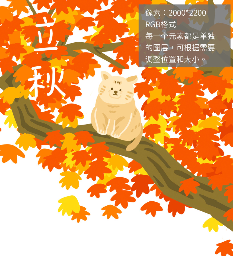 立秋
