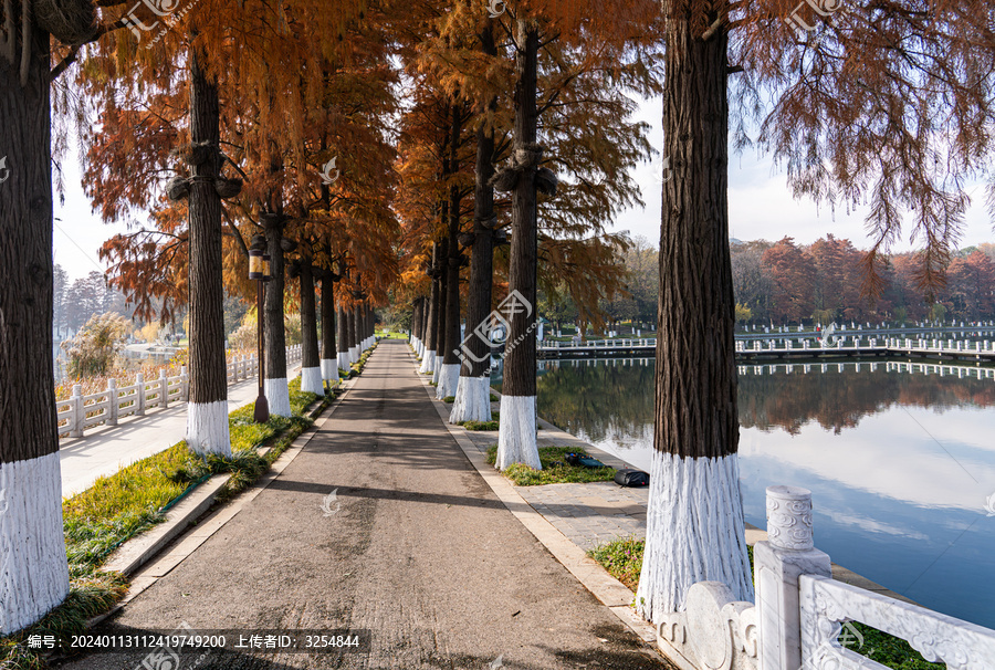 秋天的武汉东湖