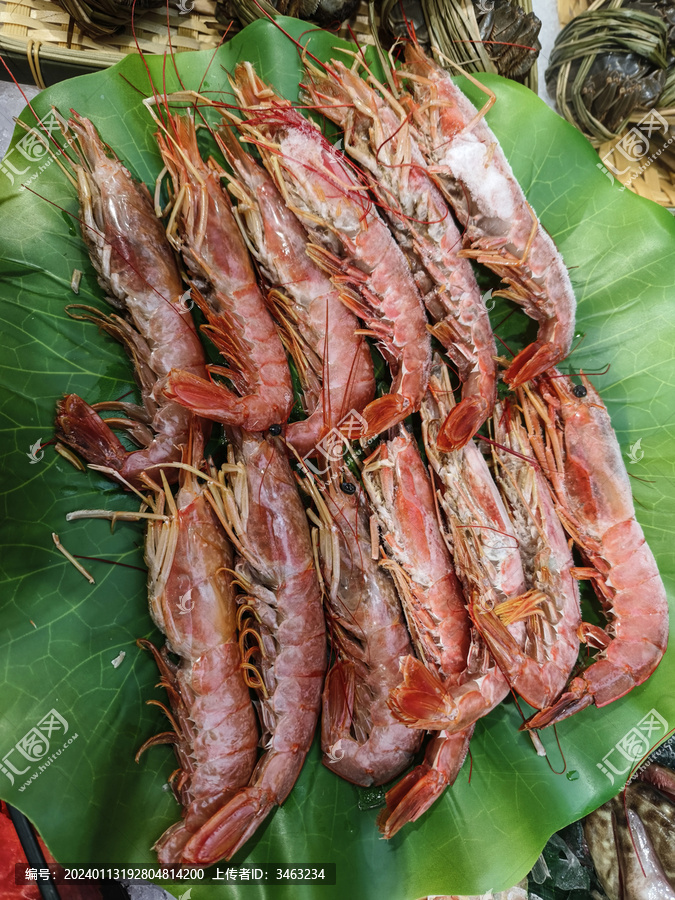 阿根廷大红虾