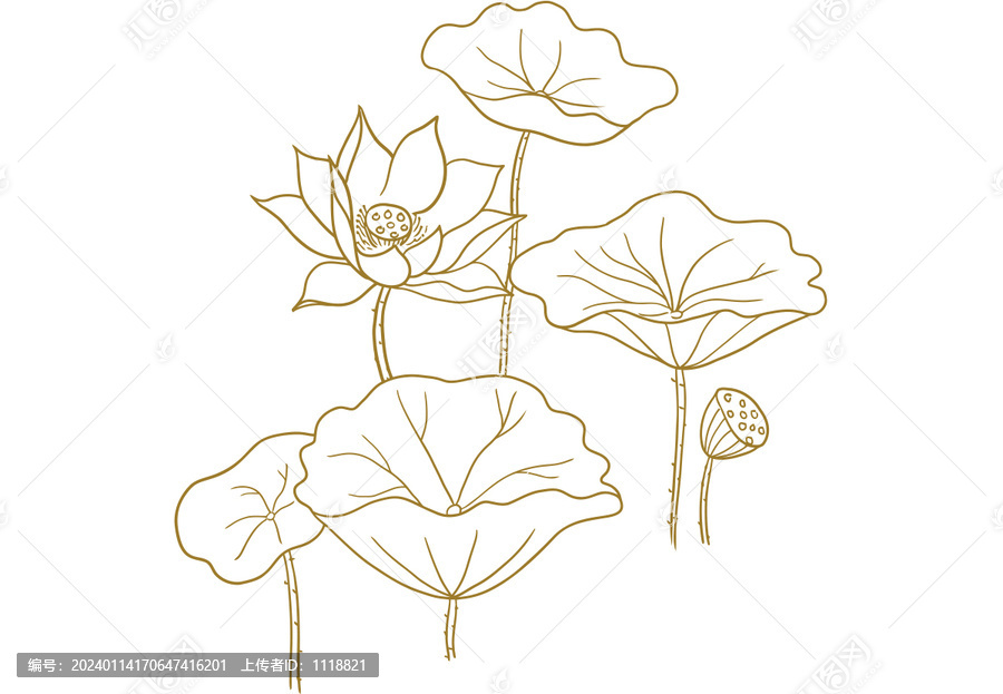 描線荷花圖蓮花蓮葉包裝圖案