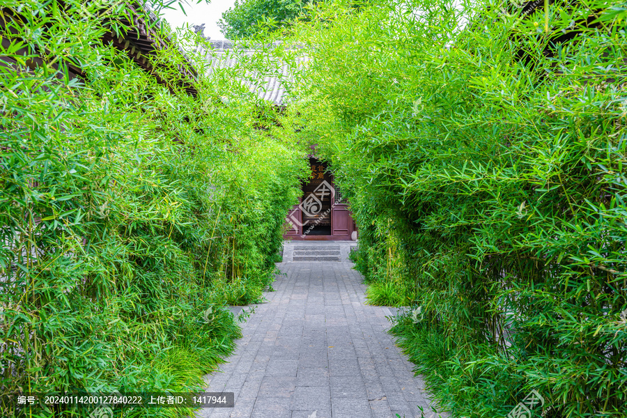 竹林小路