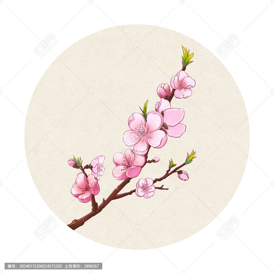 中國風插畫桃花