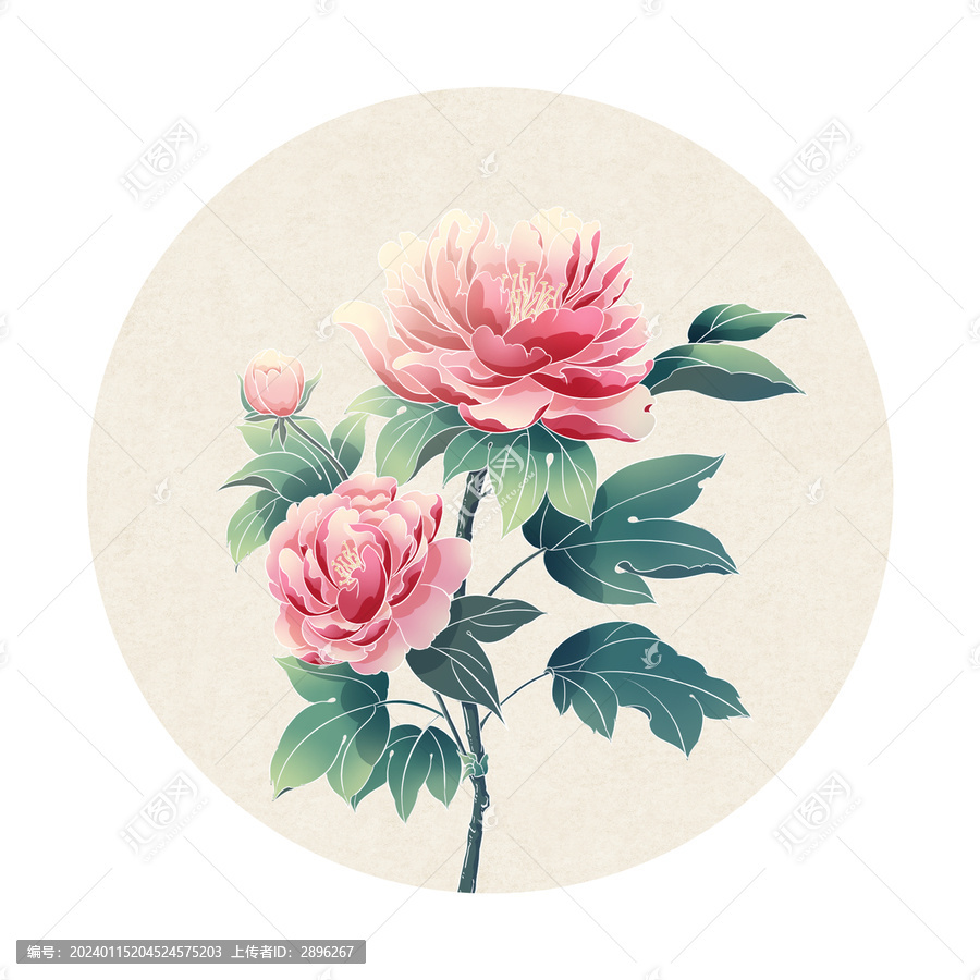國(guó)風(fēng)插畫牡丹花