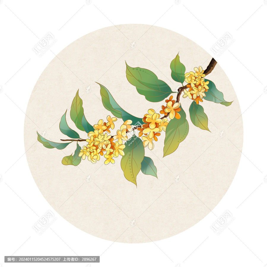 國風(fēng)插畫桂花