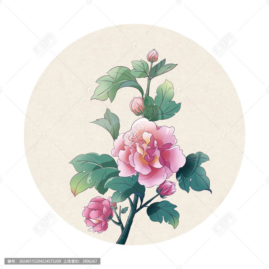 國風插畫芙蓉花