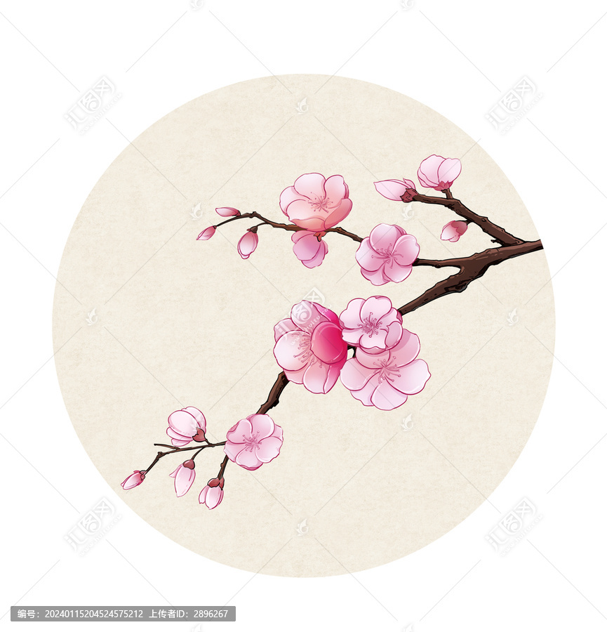 國(guó)風(fēng)插畫杏花