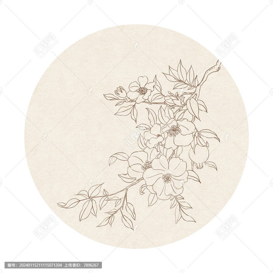 中國(guó)風(fēng)白描線條石榴花