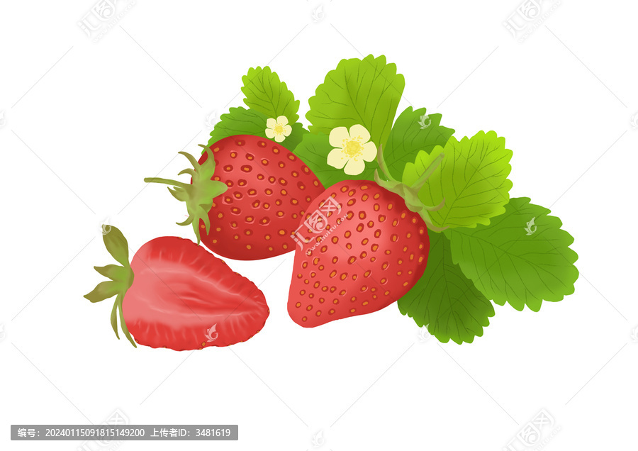 冬季水果草莓包裝插畫設(shè)計(jì)