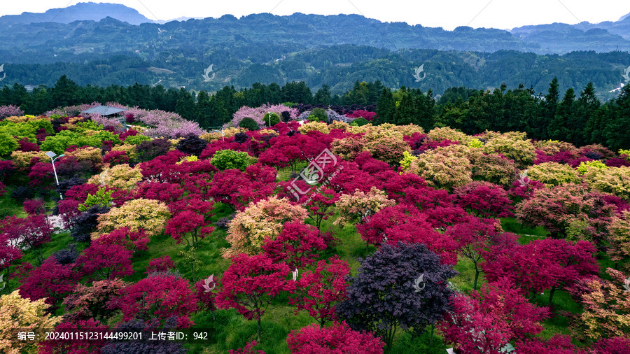 重庆巴南五洲园