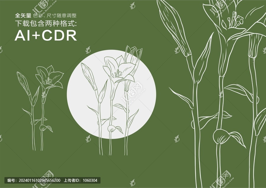 百合花手繪百合花圖案設(shè)計