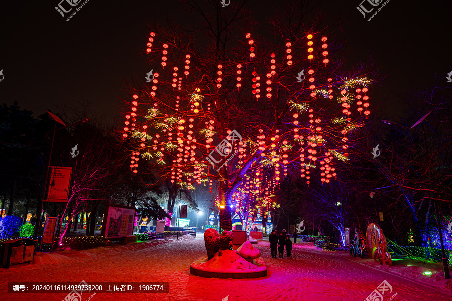 中国长春动植物公园树木夜景