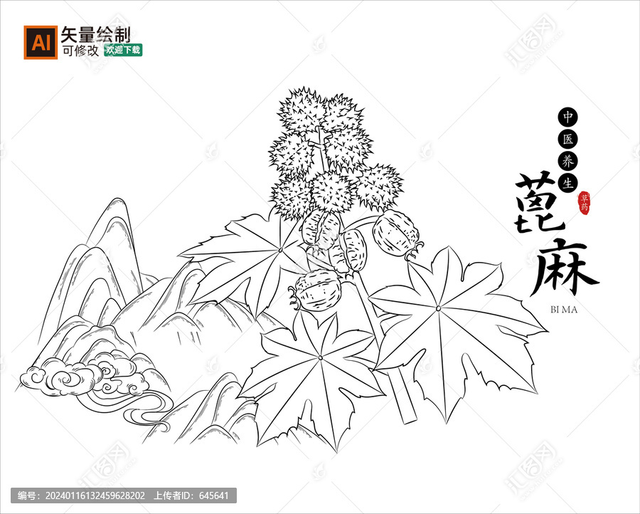 線描蓖麻