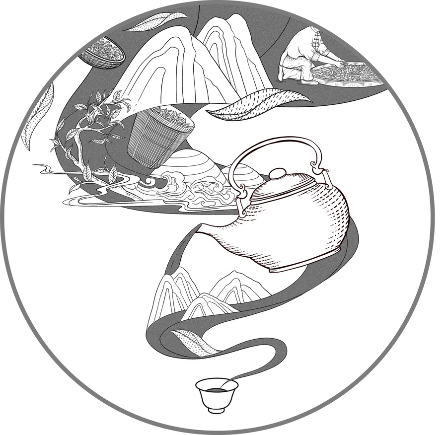 普洱茶綠茶白茶紅茶包裝插畫