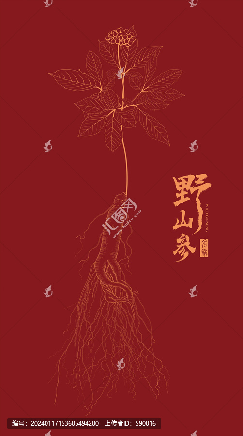 人參