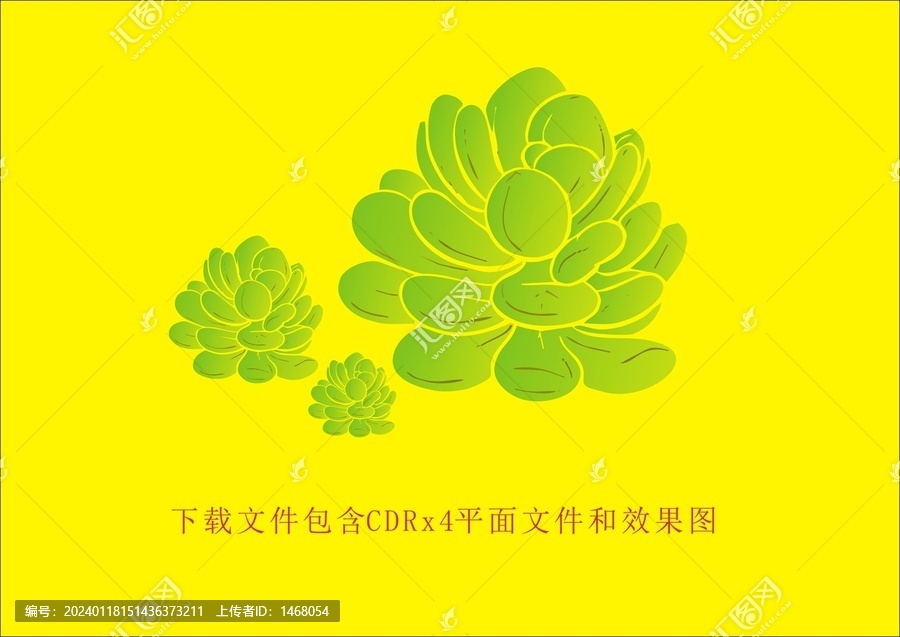 矢量多肉植物盆栽