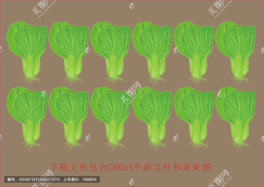 矢量菜心蔬菜上海青植物