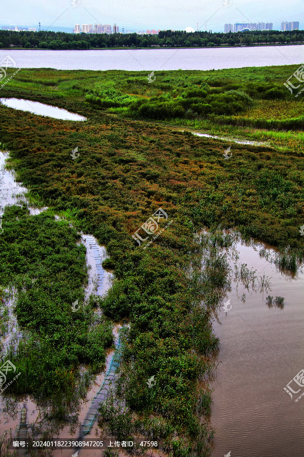 哈尔滨松花江湿地