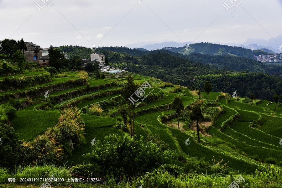 浙南永嘉山区茗岙梯田风光