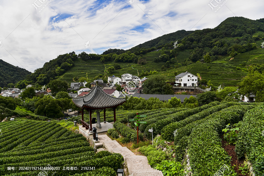 杭州西湖龙井茶园思茶亭