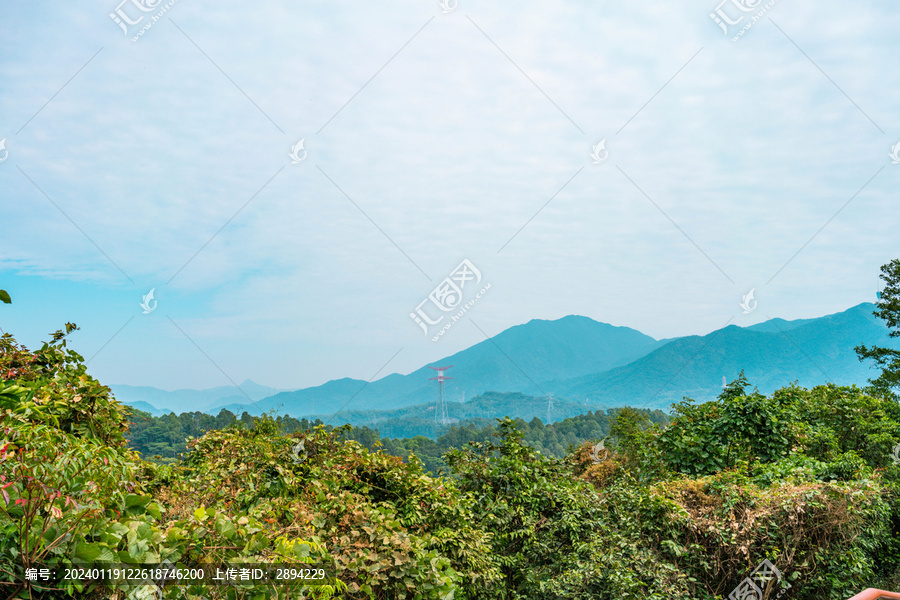 梧桐山风景