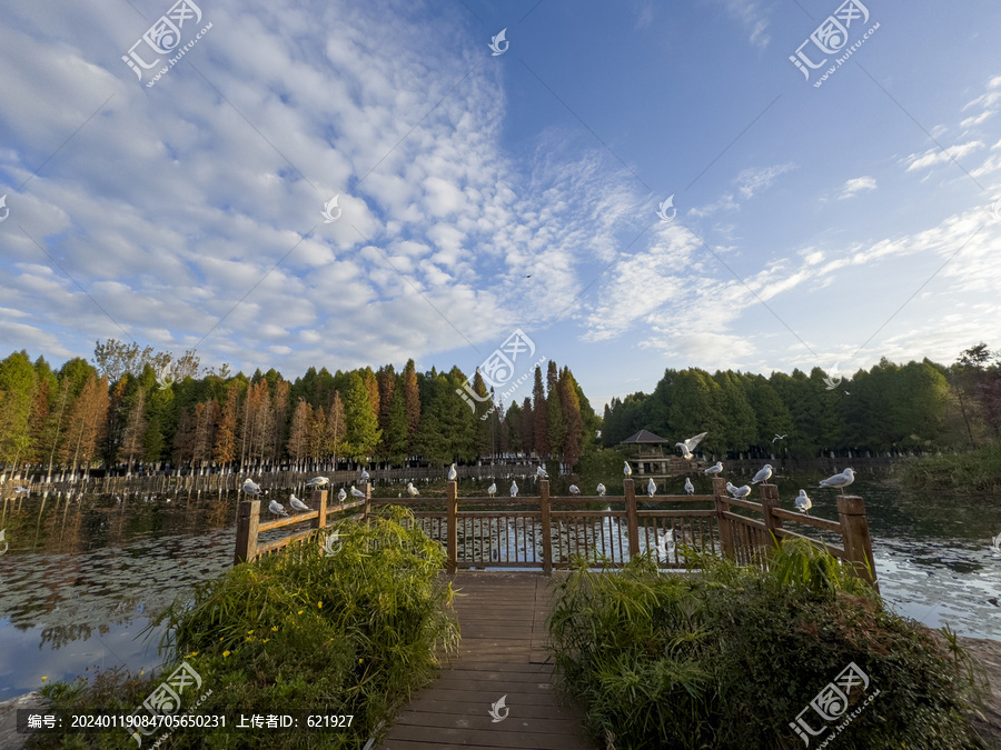 滇池湿地