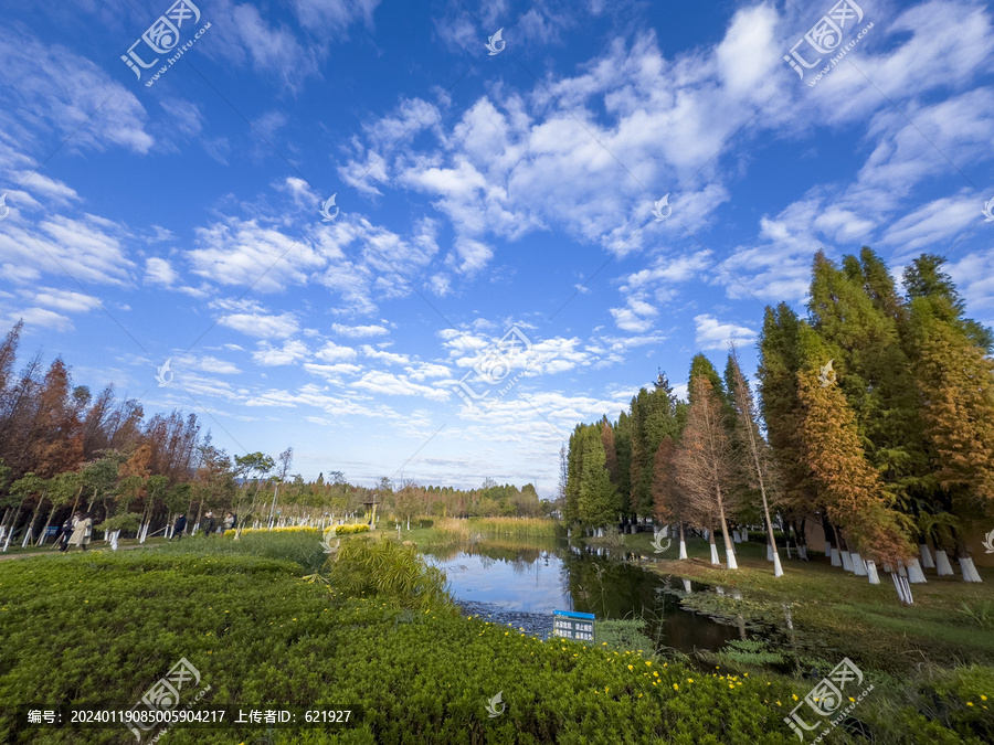 滇池湿地