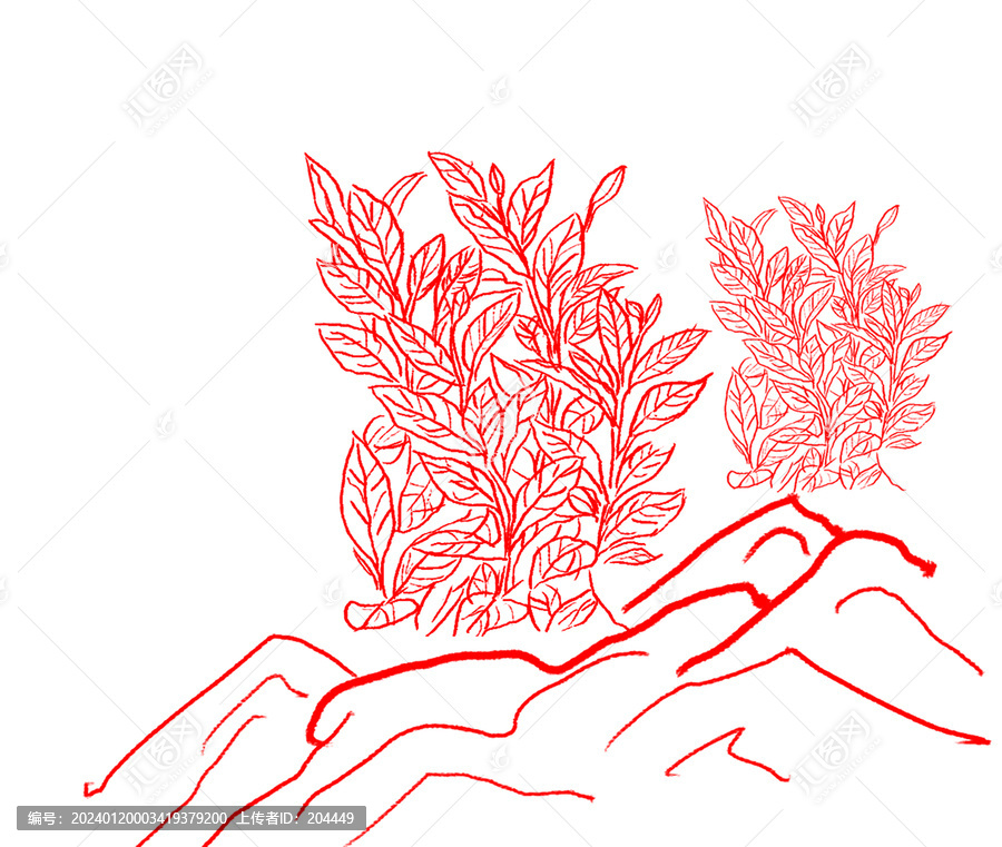 茶樹(shù)