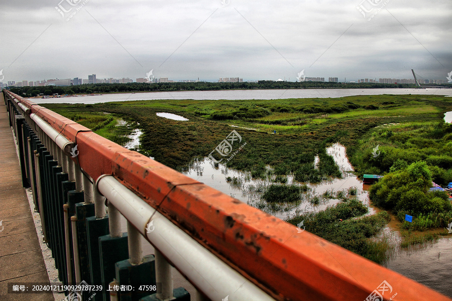 松花江湿地