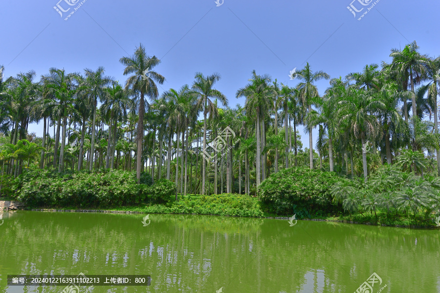 广州植物园