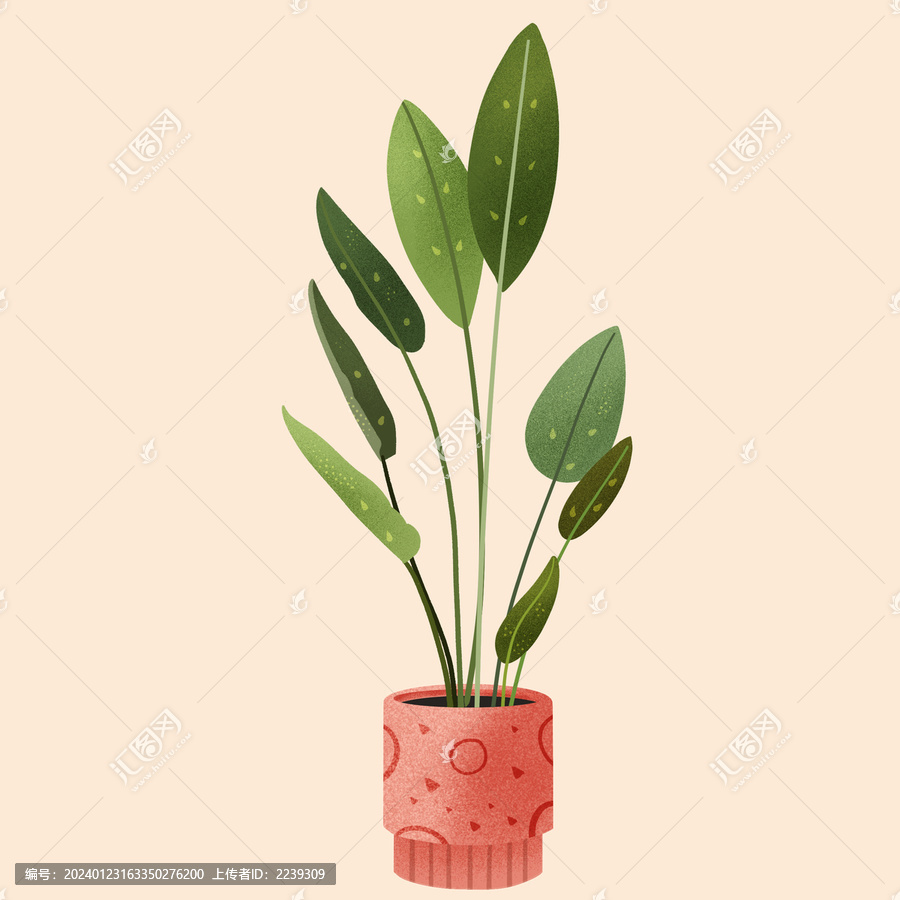 扁平小清晰手繪植物插畫
