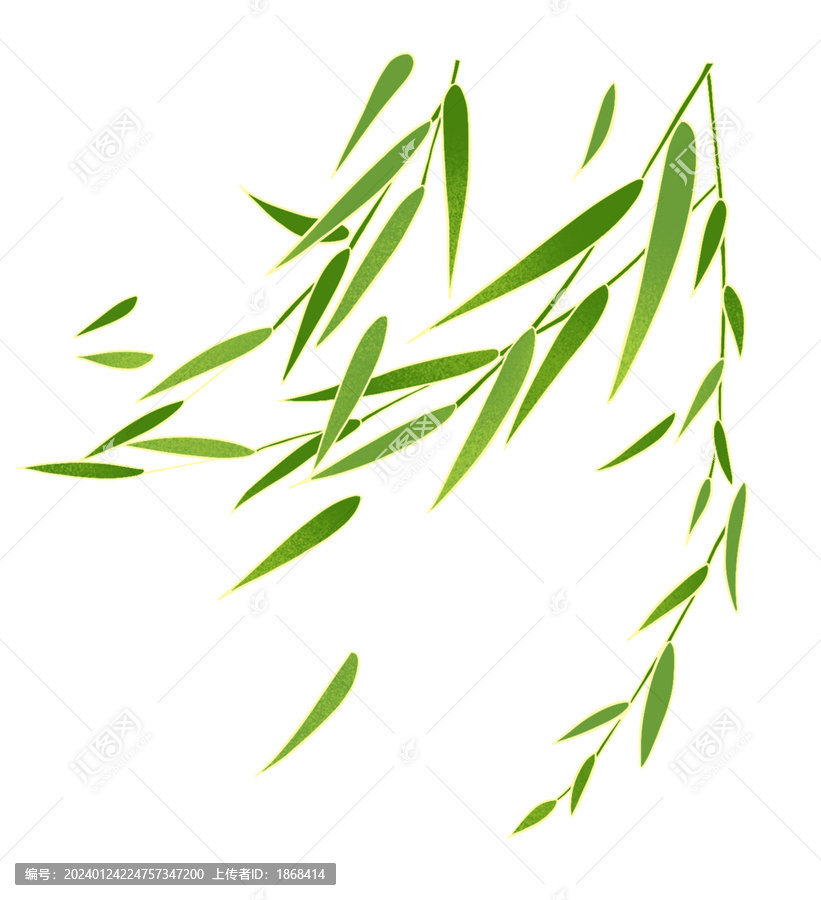 柳樹葉