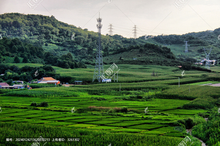 东北黑土地农田农村