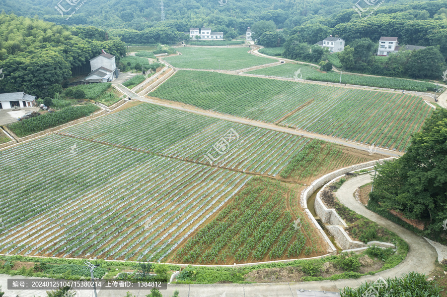 宜都市田园风光