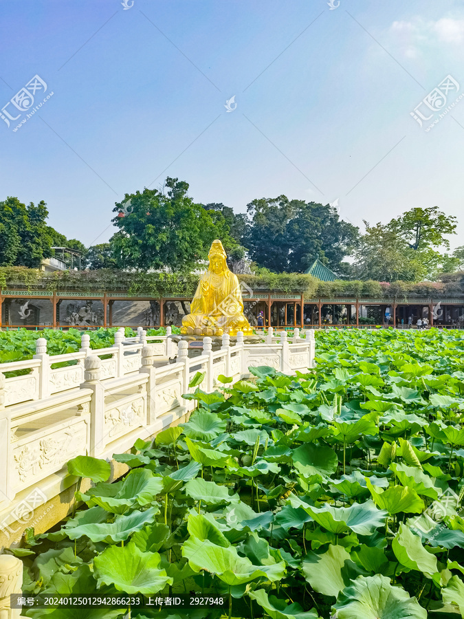 宝墨园园林景观观音菩萨