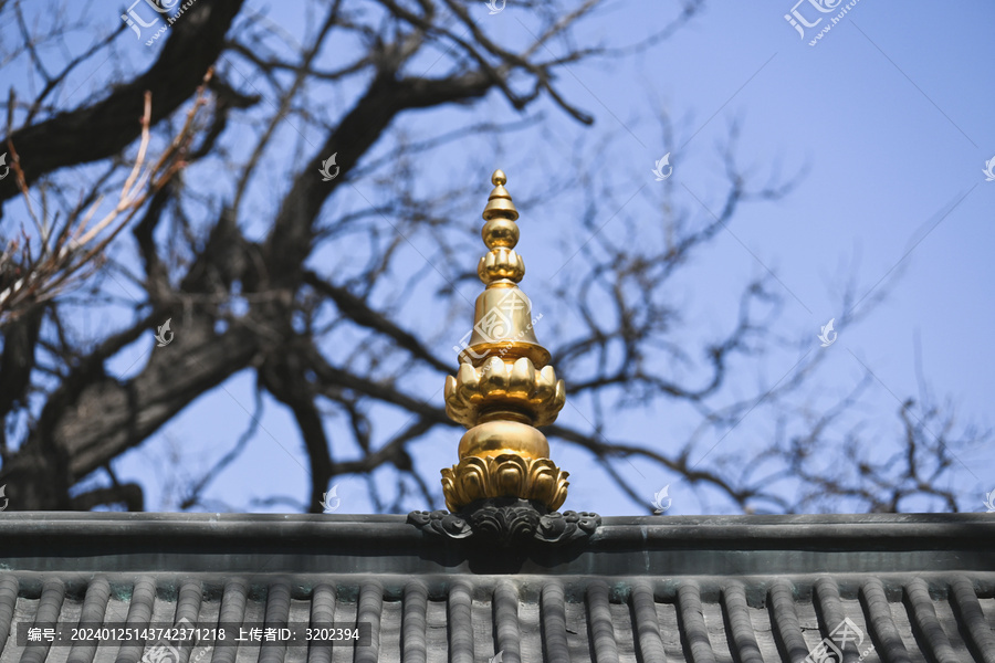 沈阳市北塔法轮寺