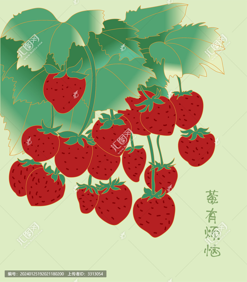 草莓插畫