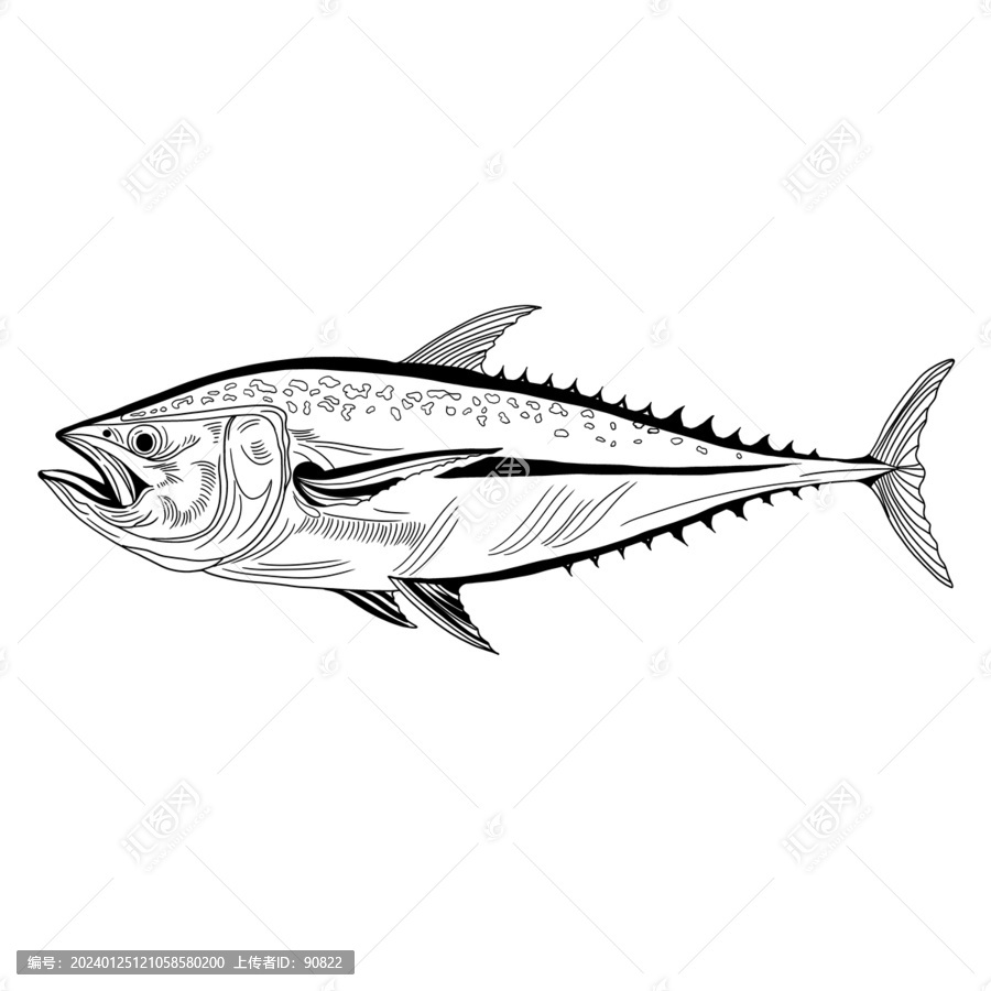 魚線稿