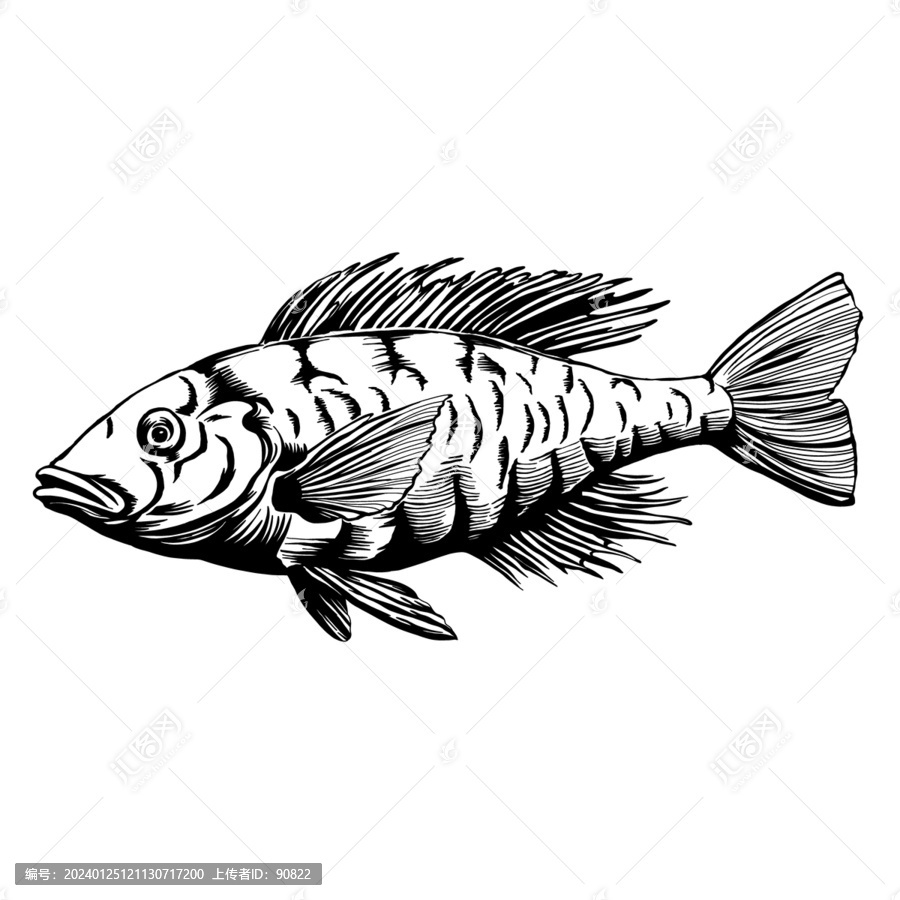 魚線稿