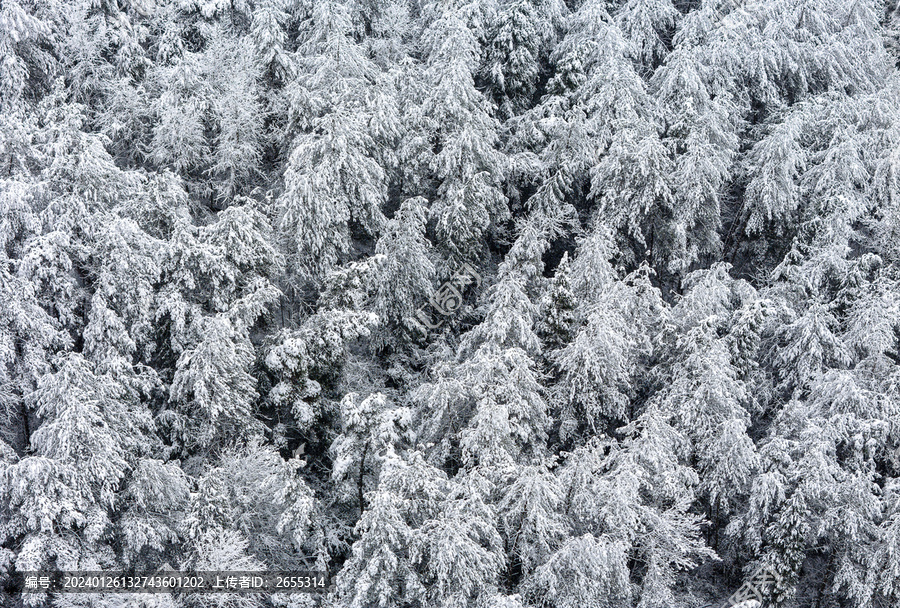 贵州黔东南大峡谷冬季雪景风光